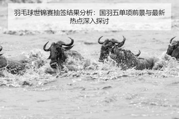 yu-mao-qiu-shi-jin-sai-chou-qian-jie-guo-fen-xi-guo-yu-wu-dan-xiang-qian-jing-yu-zui-xin-re-dian-shen-ru-tan-tao-2-465.jpg